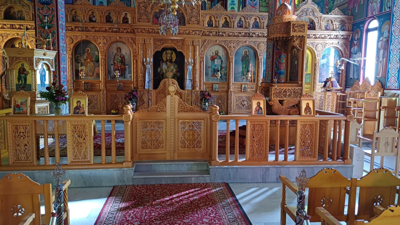 Փայտափոր սոլեա